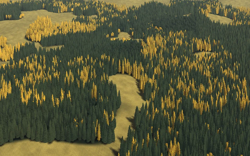 A wood on a slope in autumn: stands of dark spruce, stands of golden larch, clearings between them