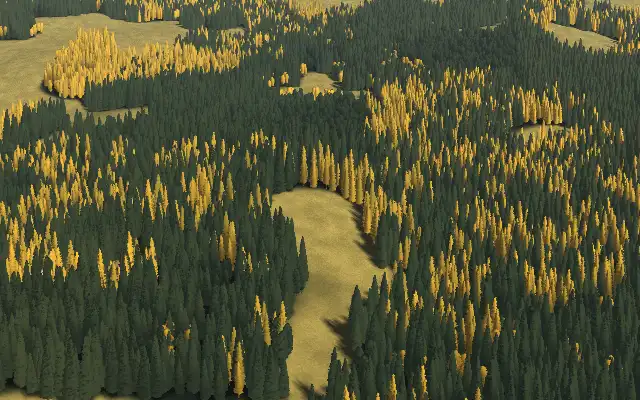 A wood on a slope in autumn, seen from above: dark spruce and golden larch round a clearing